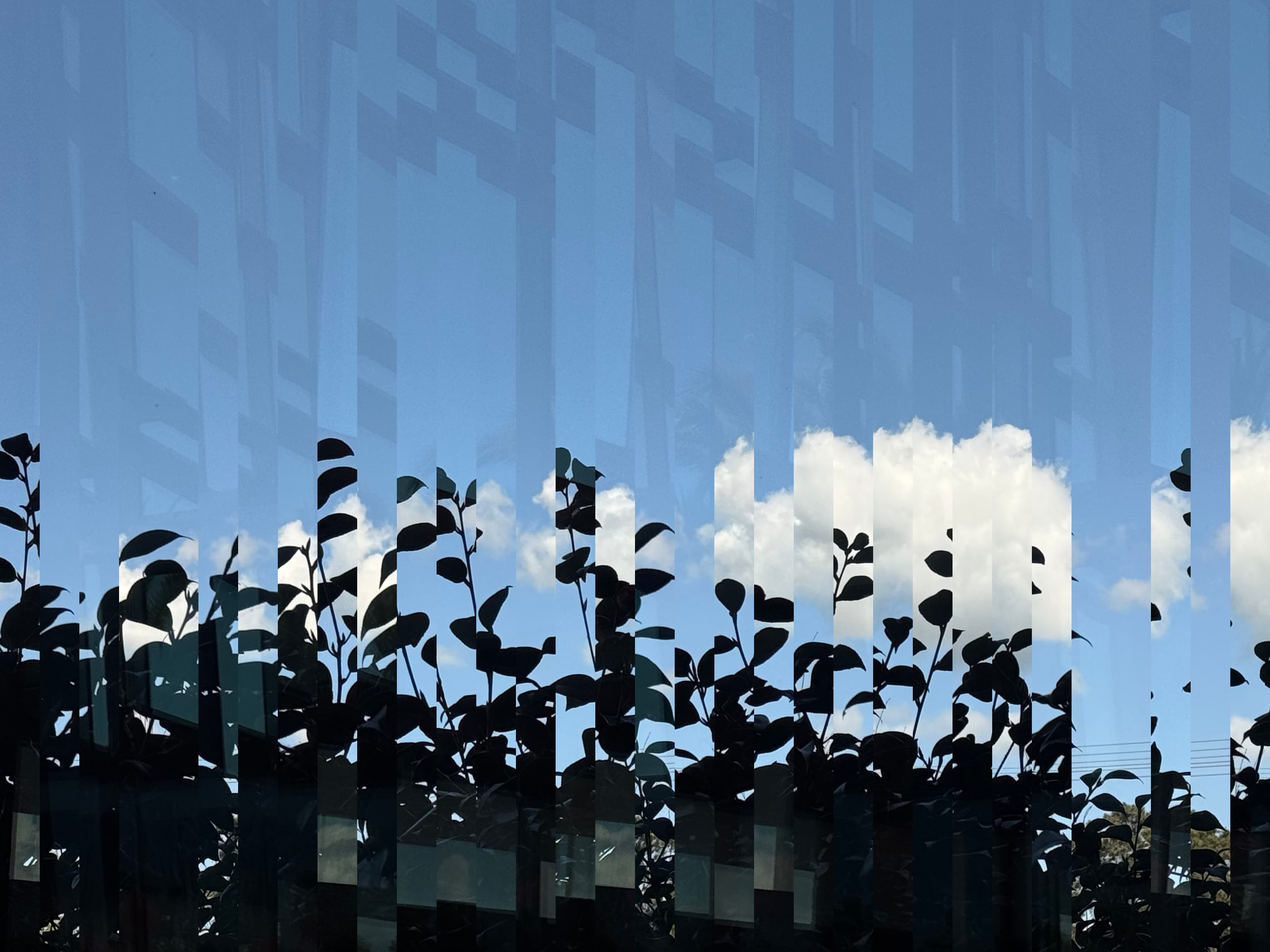 Digital Art